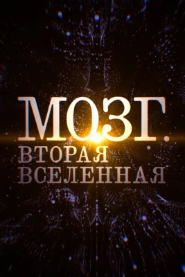 Мозг. Вторая Вселенная постер