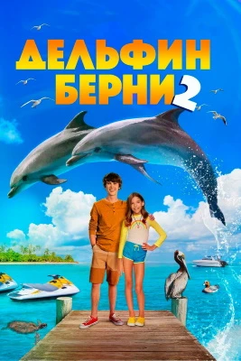 Дельфин Берни 2 постер